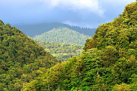 Topsoe chosen as technology partner for SAF and renewable diesel project