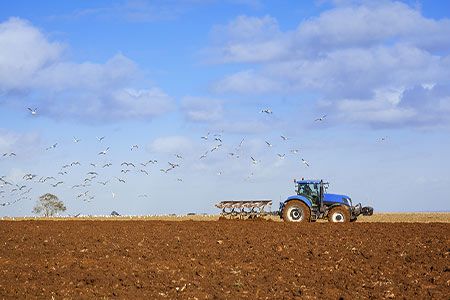 Utility and MEW collaborate on dairy digester-to-hydrogen project