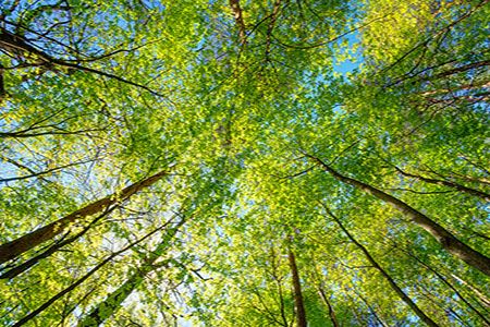 Burckhardt Compression receives order for green hydrogen project