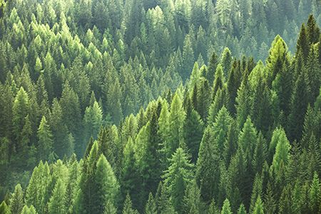 EDP to invest in 1.5 GW of renewable hydrogen by 2030